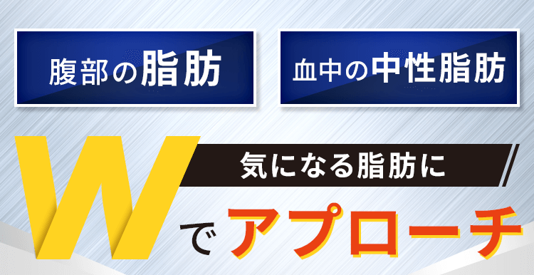 気になる脂肪にWでapproach