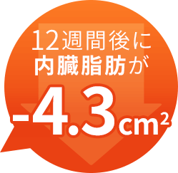 12週間後に内臓脂肪が-4.3cm